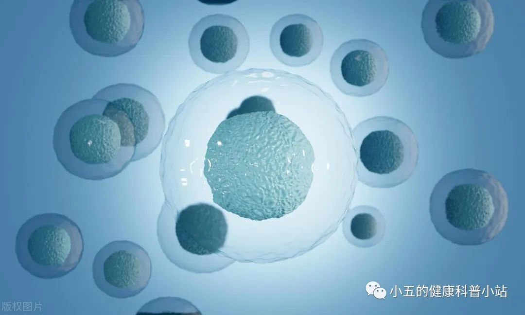 中国人缺硒怎么补的快