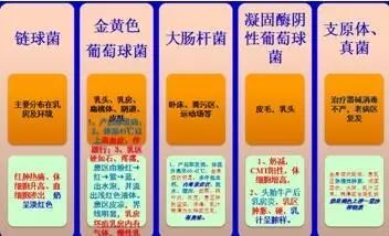 一头牛补多少亚硒酸钠