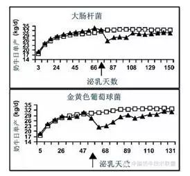 一头牛补多少亚硒酸钠
