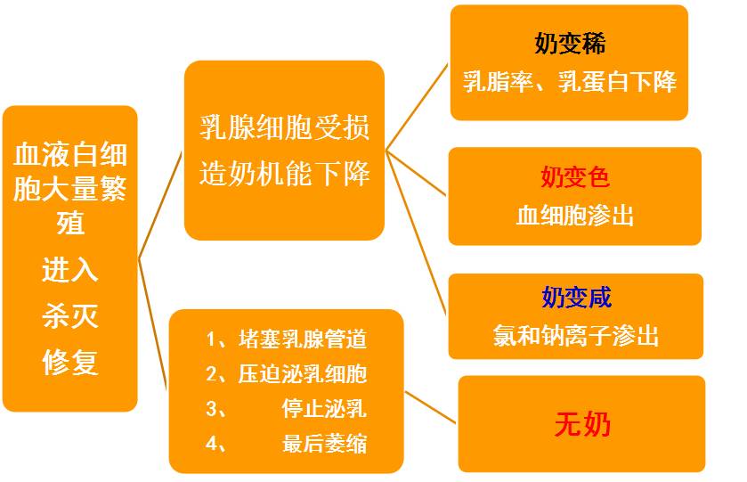 一头牛补多少亚硒酸钠