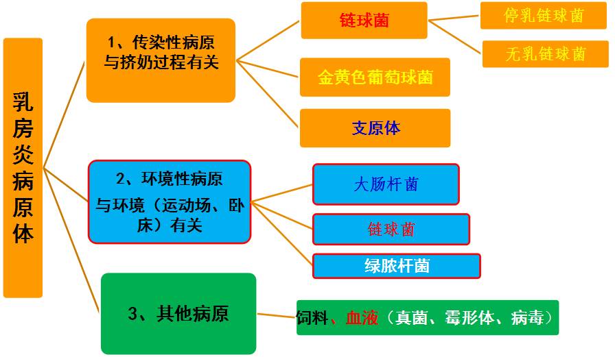 一头牛补多少亚硒酸钠