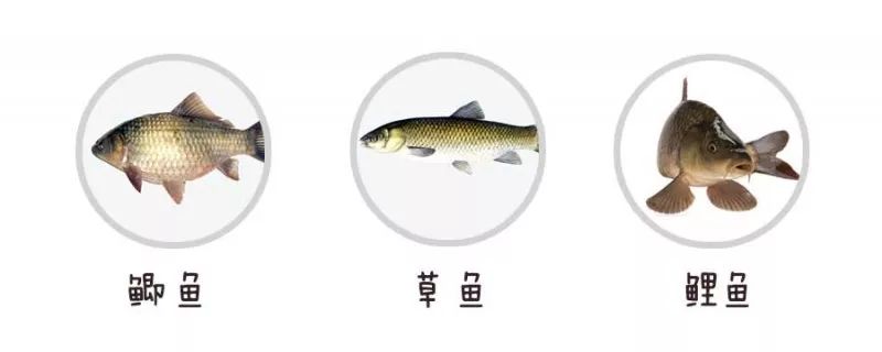 一岁宝宝吃什么补钙