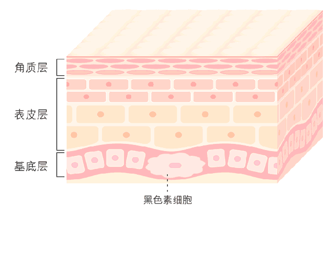 孩子有白头发是缺少什么微量元素