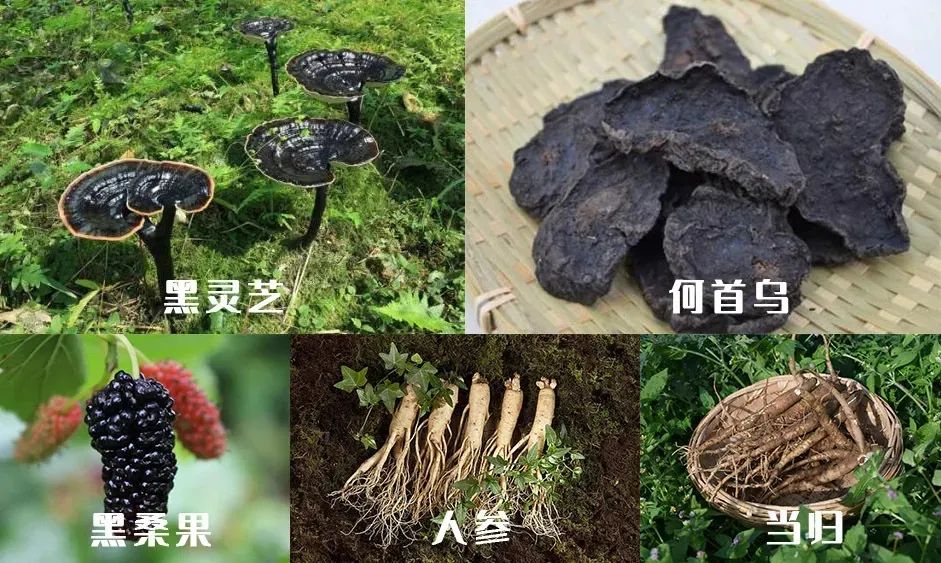 孩子有白头发是缺少什么微量元素
