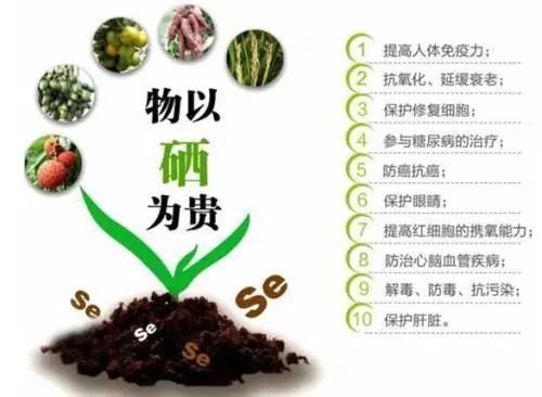 补硒用查肝功能吗男性