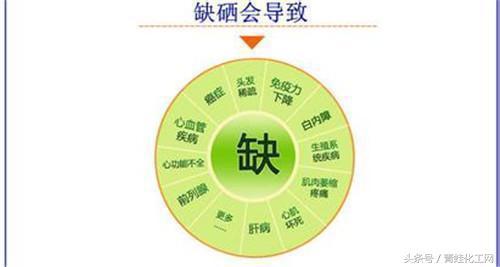 中老年人补硒有好处吗