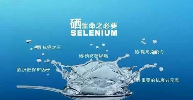 老年人补什么硒好一点
