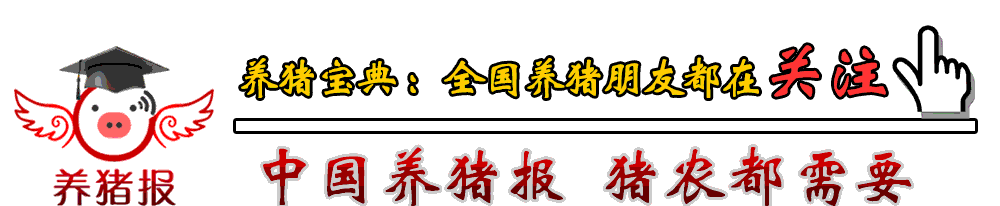 怎么补铁蛋白