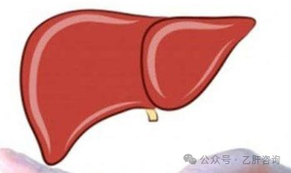 乙肝小三阳需要补硒吗