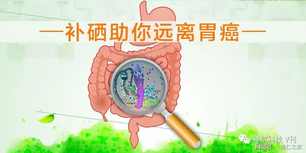 补硒一天多少比较好呢