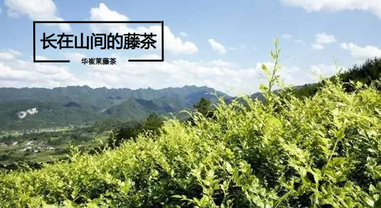 为什么补硒的三大理由