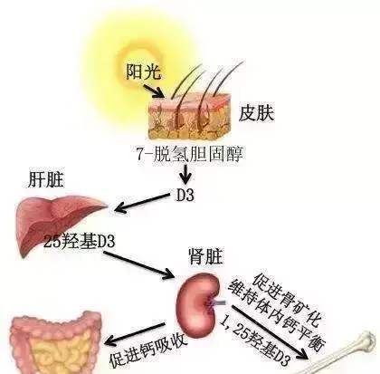十岁孩子需要补钙吗