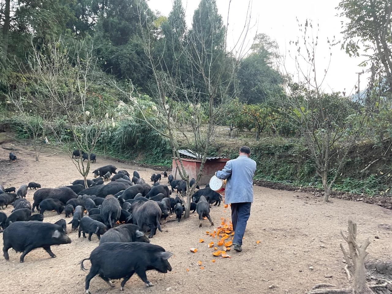 开阳富硒产品销往何处