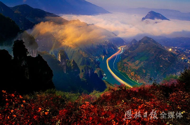 湖北生物公司富硒产品