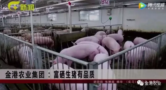 富硒农产品的消费情况