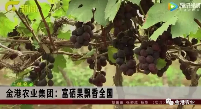 富硒农产品的消费情况