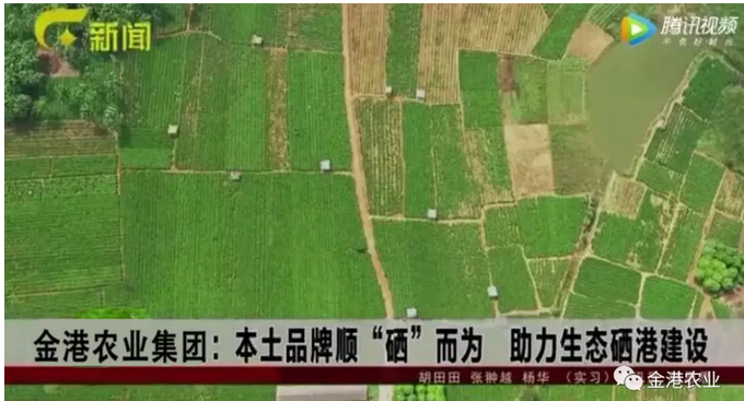 富硒农产品的消费情况