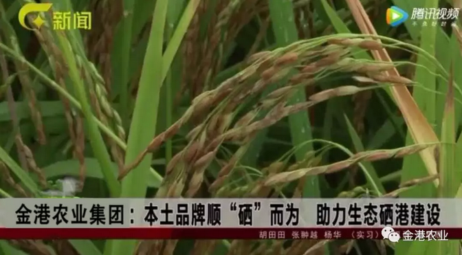富硒农产品的消费情况