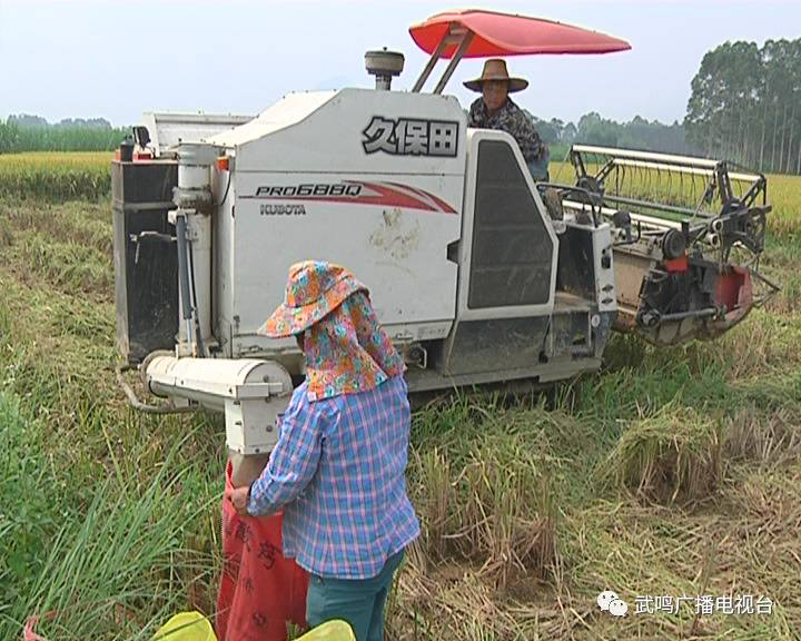 富硒农产品的种植技术