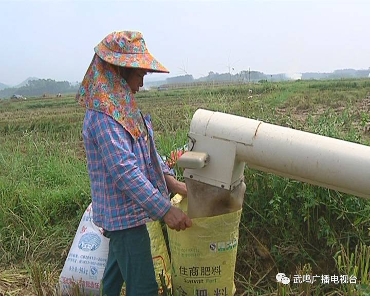 富硒农产品的种植技术