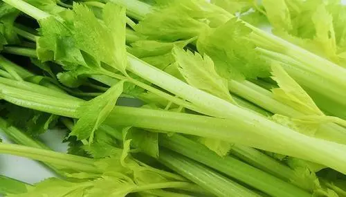 补钙什么季节补最好
