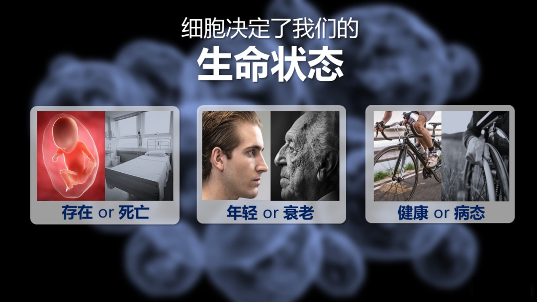 富硒产品没标注硒含量