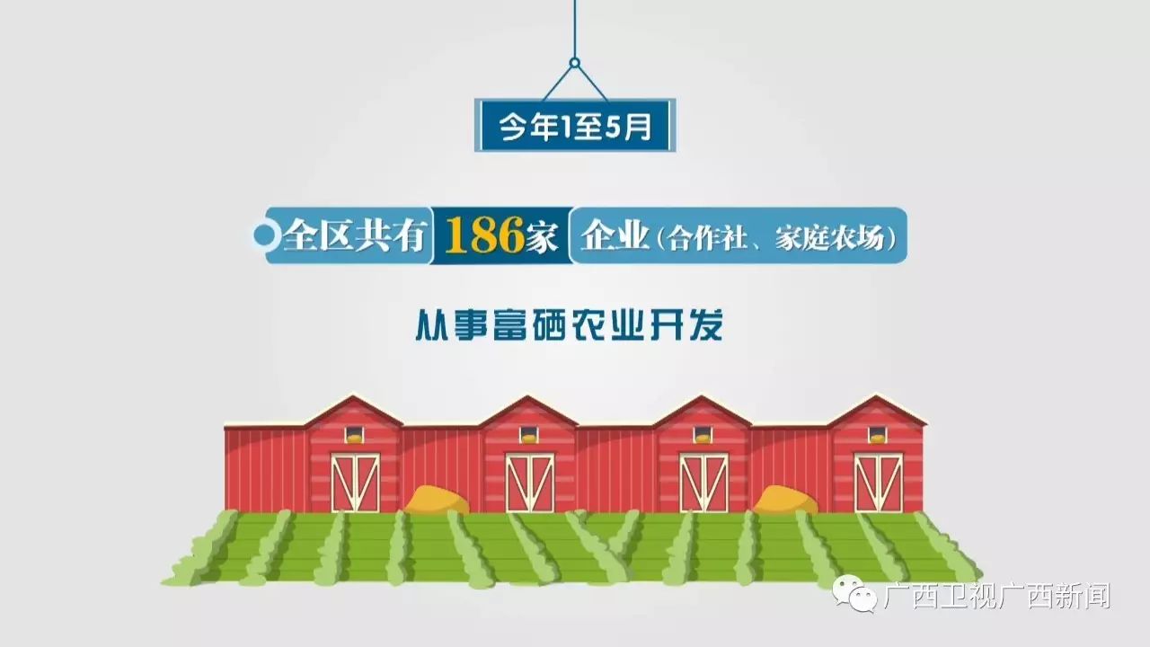 广西富硒产品生产企业