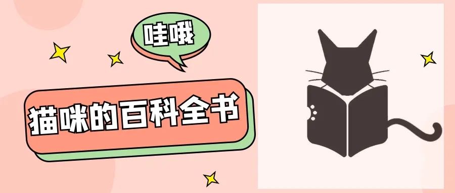 猫咪补充微量元素吃什么
