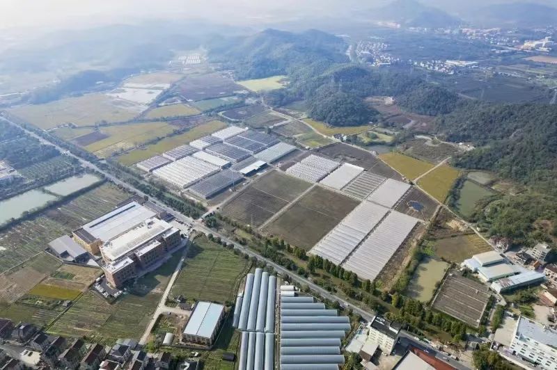 农产品富硒西红柿标准
