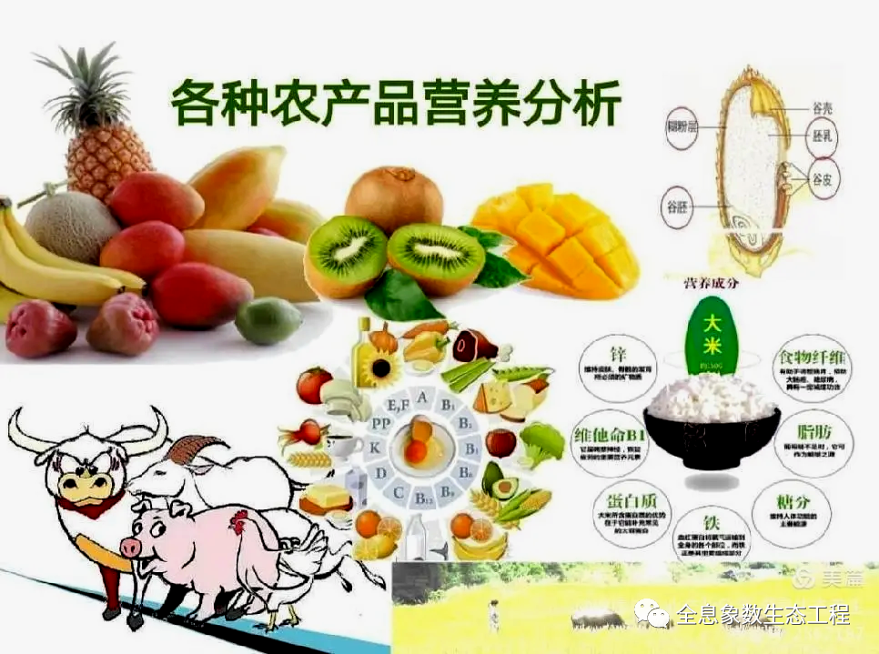 完美产品有没有含富硒