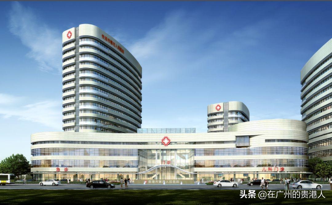 中国十大富硒产品青鸟