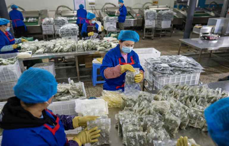 富硒产品收益怎么样啊