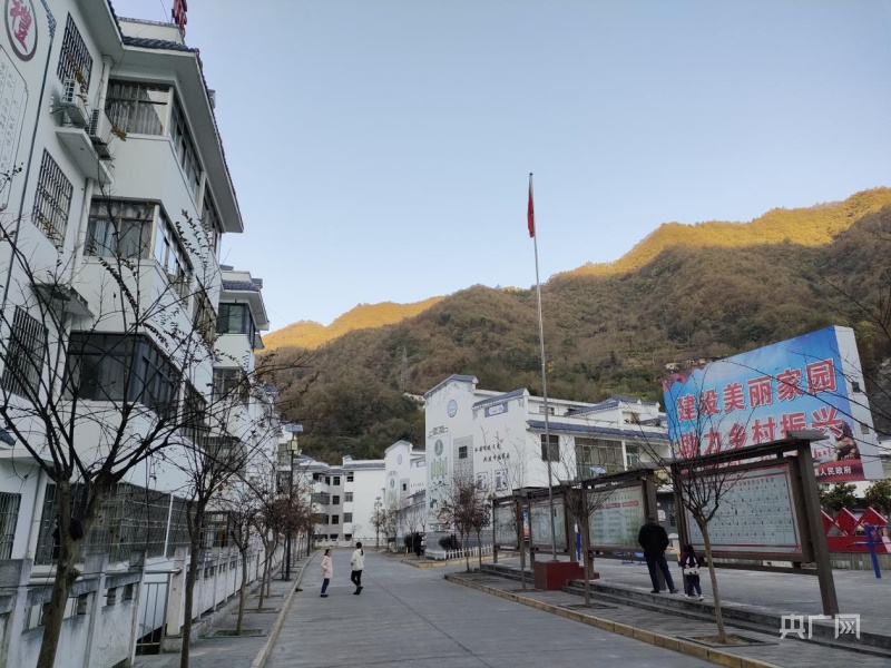 白河县富硒茶产品介绍