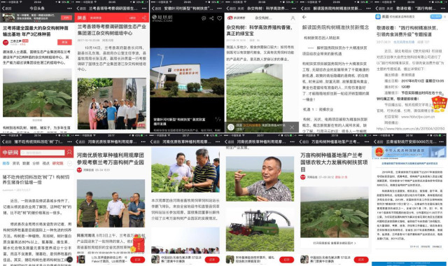 杂交构树是富硒产品吗