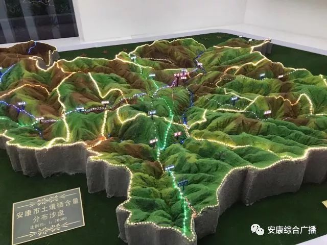 安康县富硒产品研究院