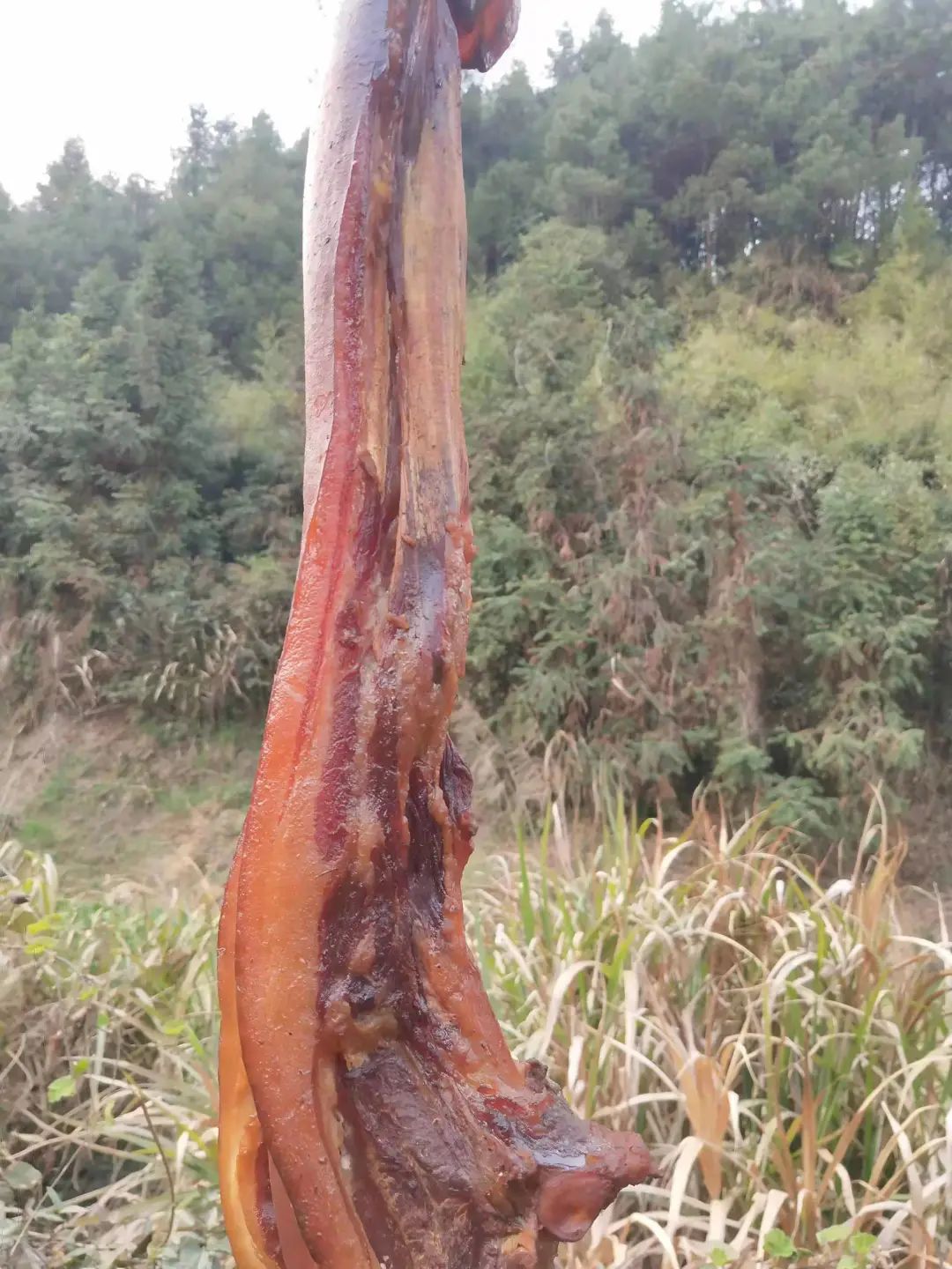 不是富硒农副产品特点