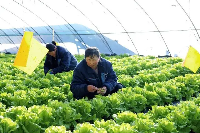 富硒农产品加工废弃物
