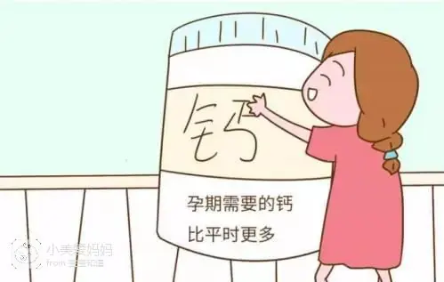 吃啥钙片补钙效果最好