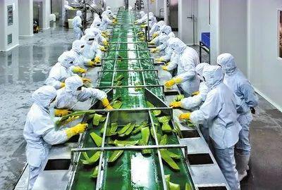 富硒农产品加工废弃物