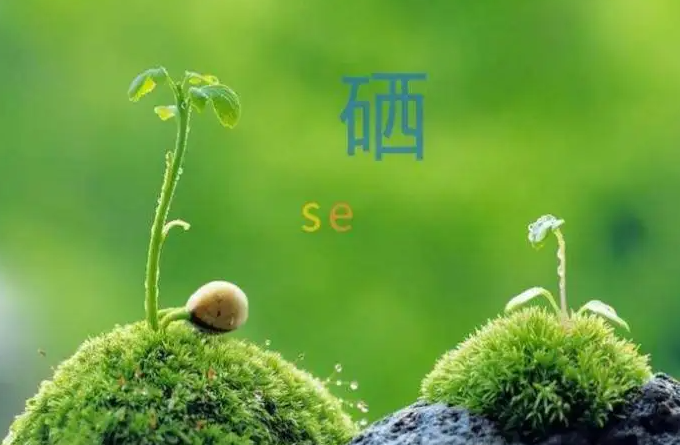 富硒农产品对人的好处