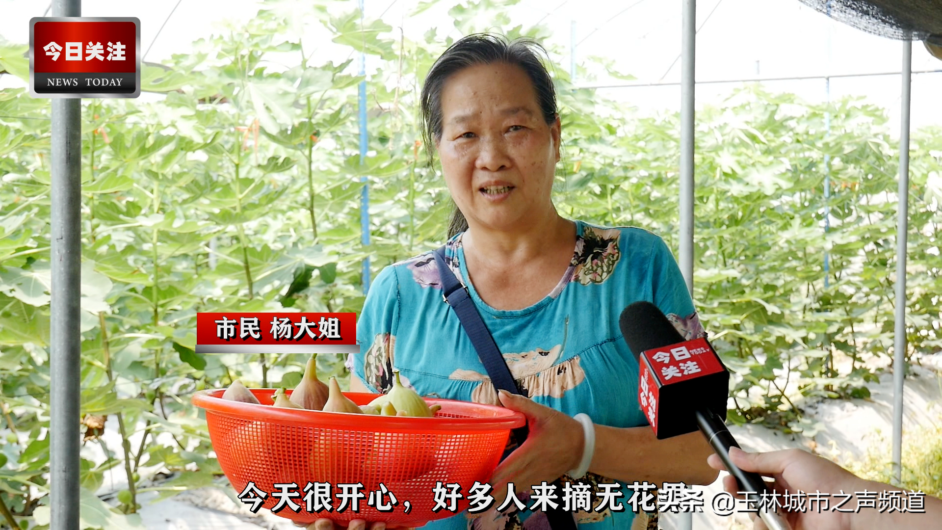 玉林市富硒农产品协会