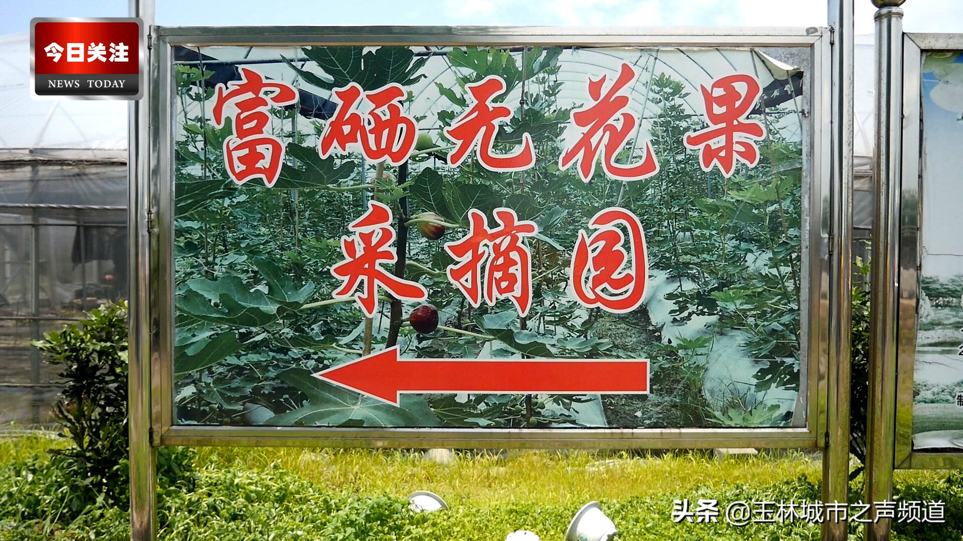 玉林市富硒农产品协会