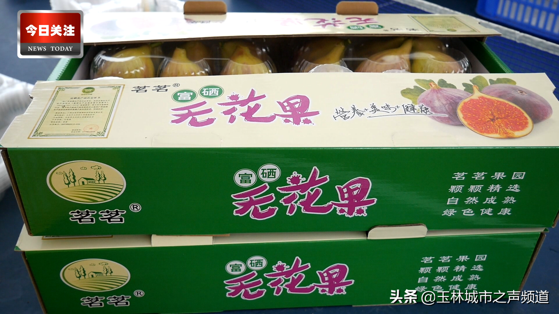 玉林市富硒农产品协会