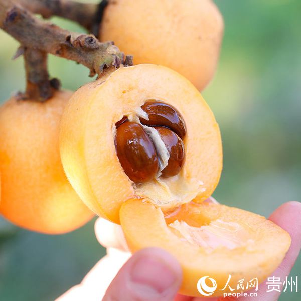 开阳县富硒农产品之乡