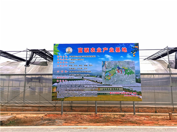 绥化市海伦富硒农产品
