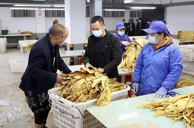 绿葱坡的产品含富硒吗
