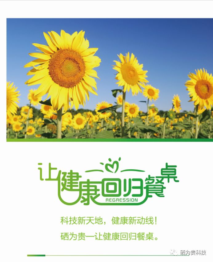 山东三旺富硒农副产品