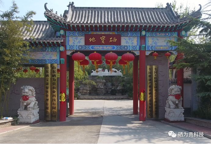 山东三旺富硒农副产品