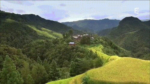 富硒茶中硒的存在形式