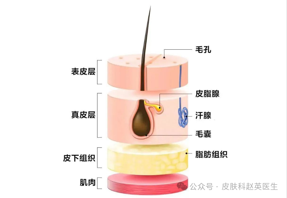 医院查微量元素挂什么科